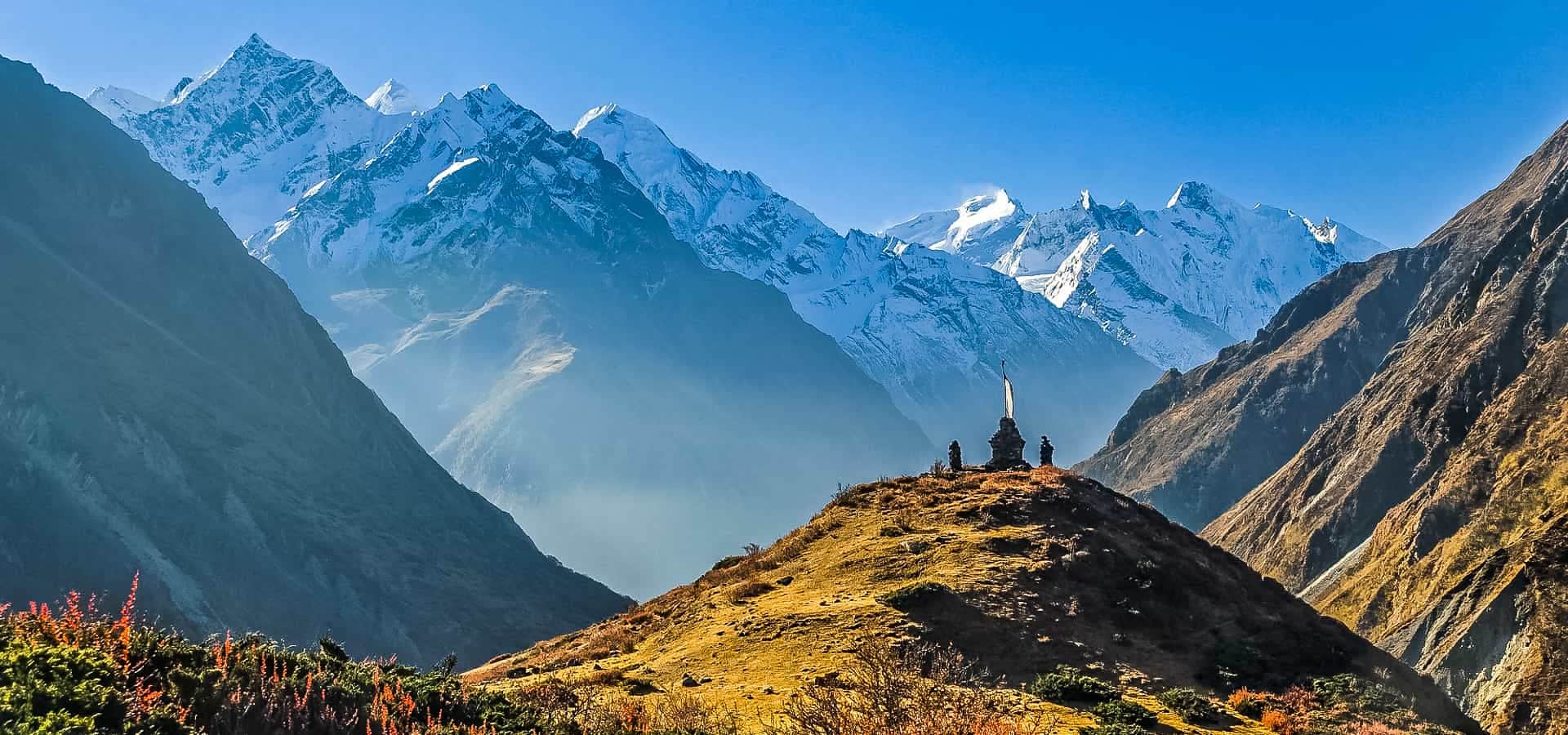 Image for null