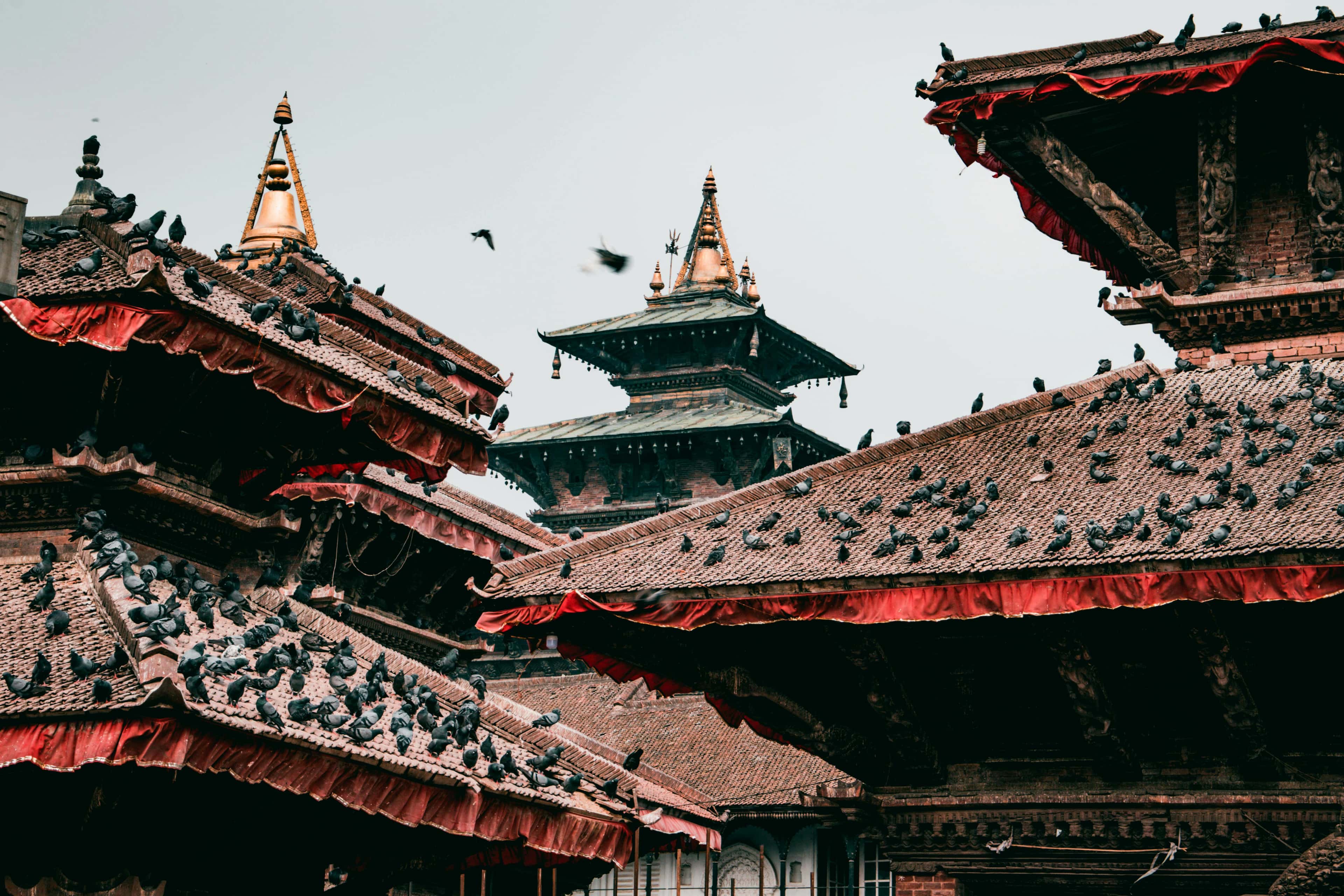 Image for 7 Days Nepal tour