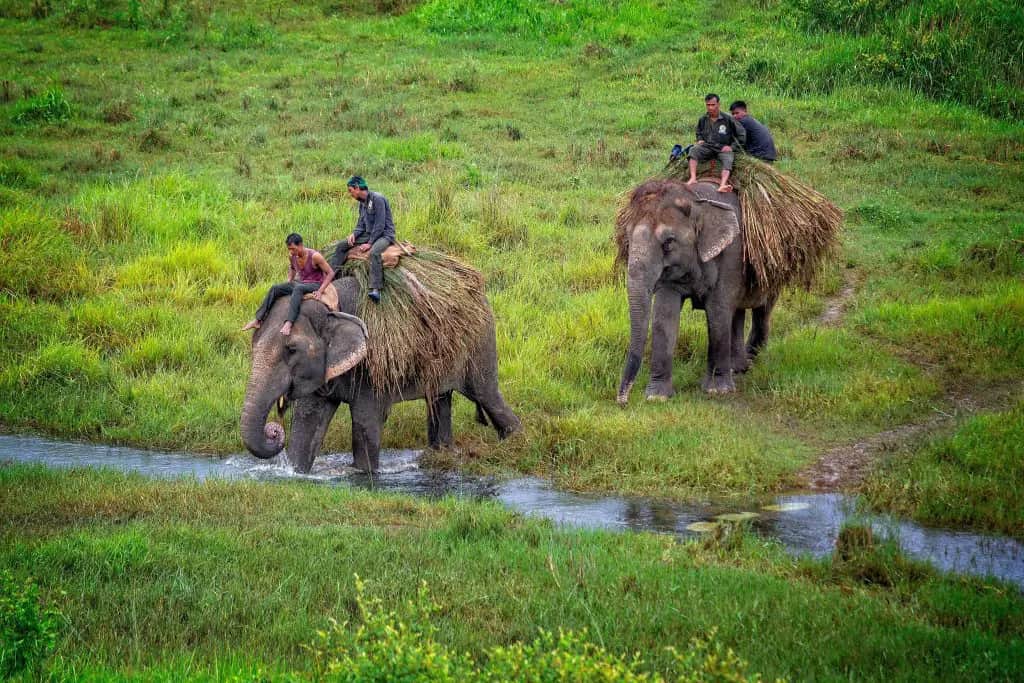 Image for 6 Days Nepal Tour with Pokhara and Chitwan Safari