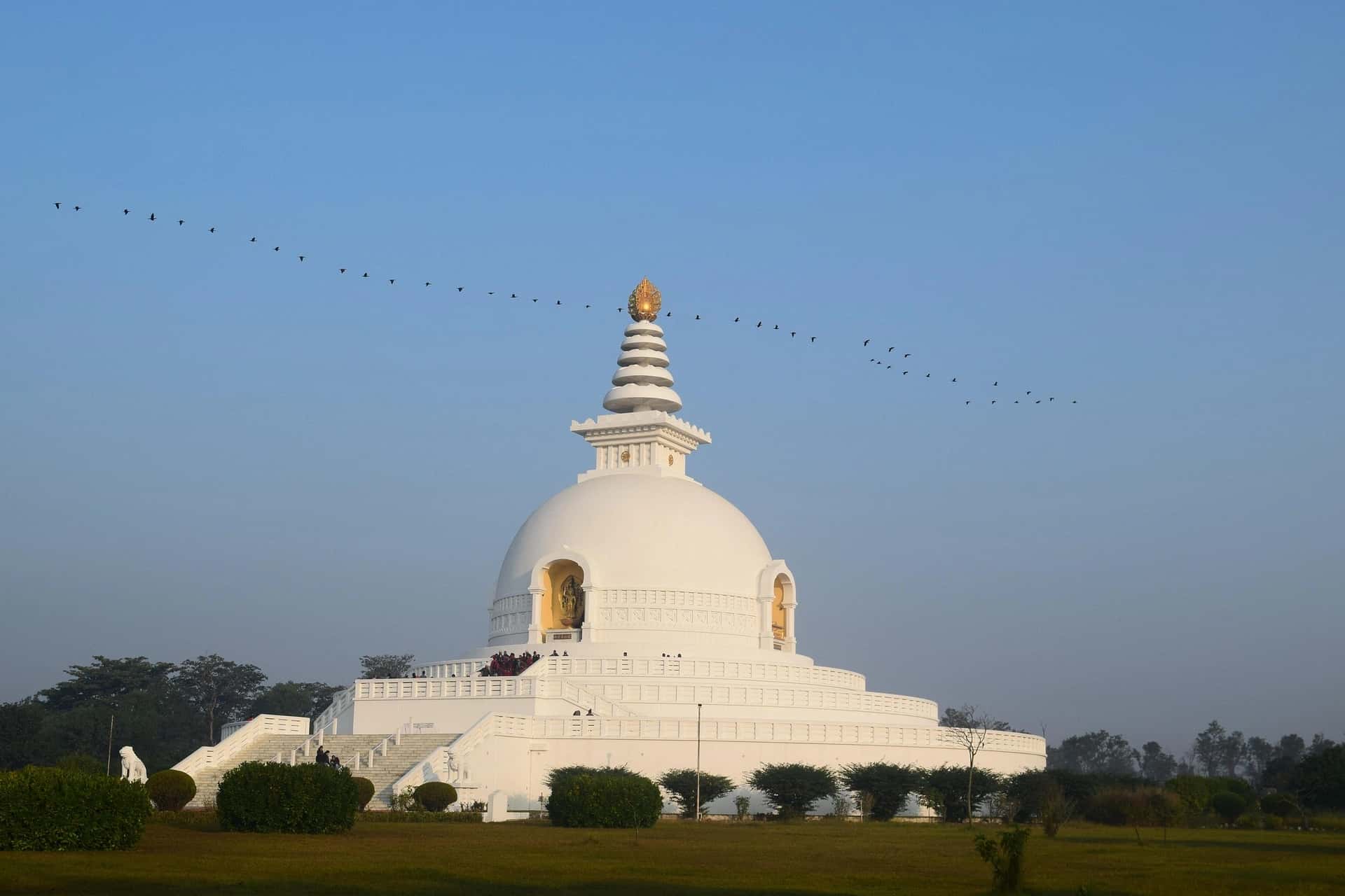 Image for Luxury Nepal Tour with Everest and Lumbini