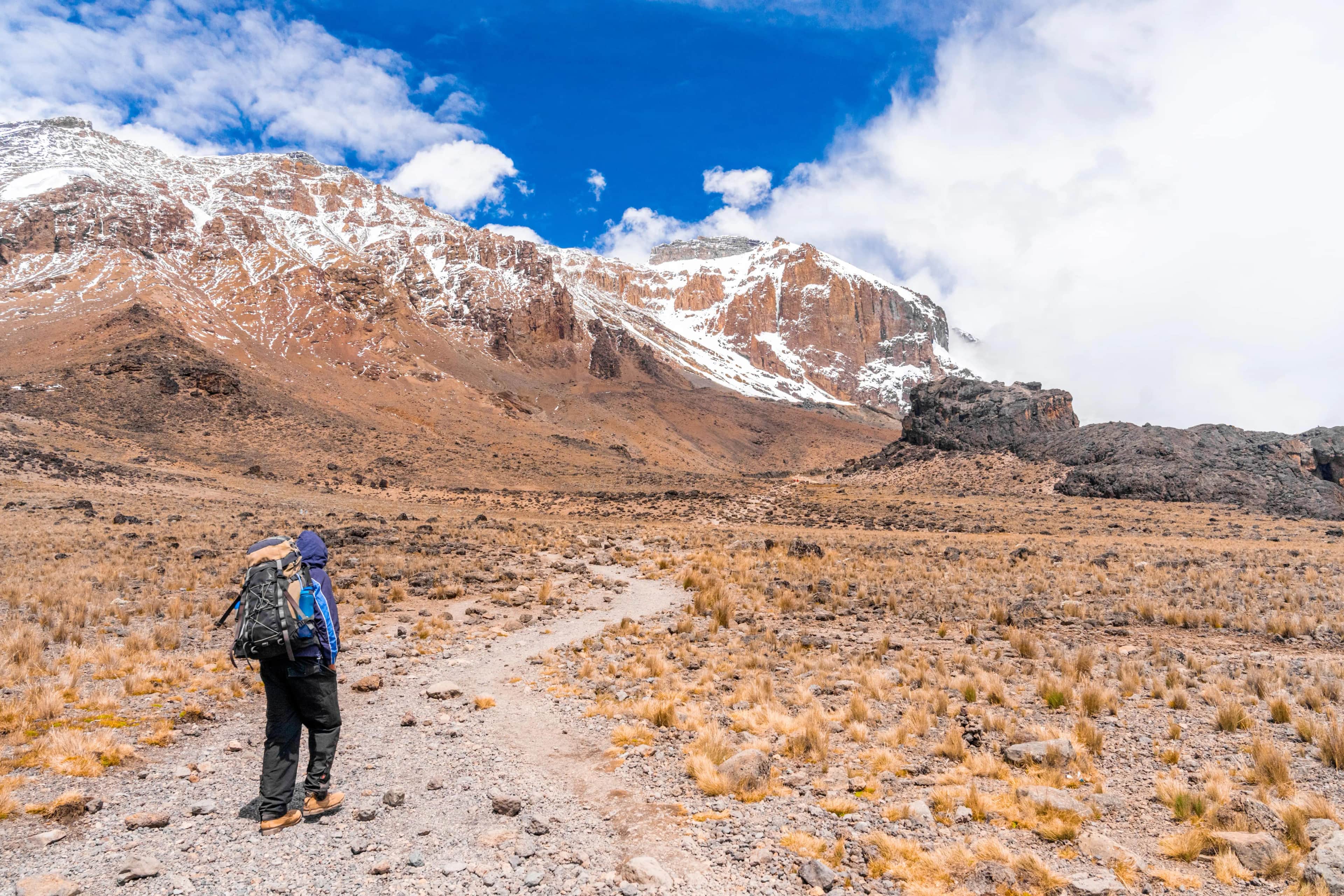 Image for A hiker overlooking the rugged Nar Phu Valley trek in Nepal, featuring deep canyons, ancient stone-built villages, and distant snow-capped Himalayan peaks.